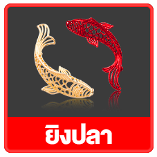 icon3